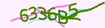 Mã bảo mật