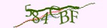 Mã bảo mật