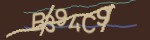 Mã bảo mật