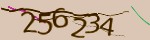 Mã bảo mật
